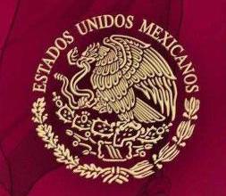 pasaporte coyoacan sre punto maq